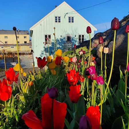 Lysvoldbrygga Bed & Breakfast Henningsvær Dış mekan fotoğraf