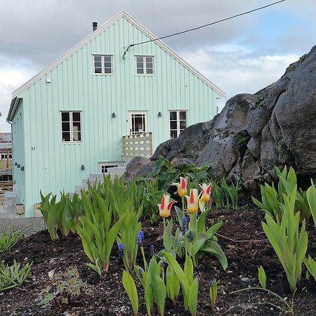 Lysvoldbrygga Bed & Breakfast Henningsvær Dış mekan fotoğraf