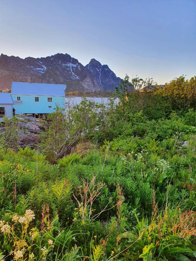 Lysvoldbrygga Bed & Breakfast Henningsvær Dış mekan fotoğraf