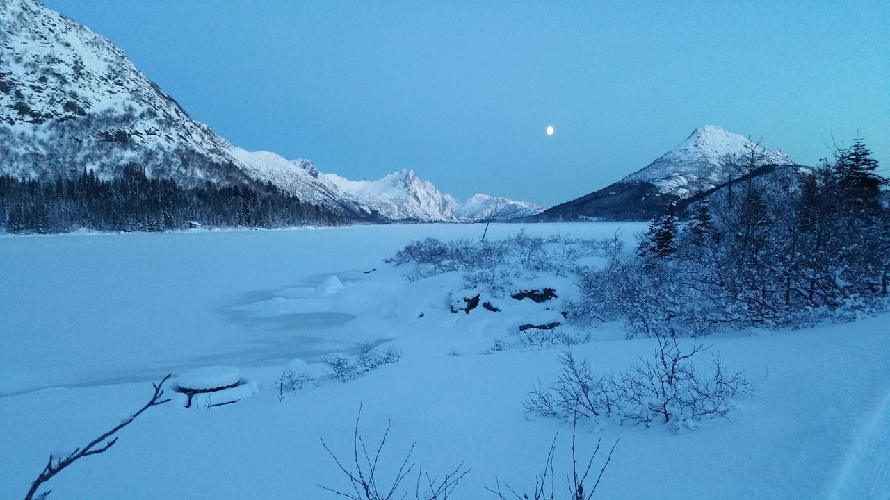 Lysvoldbrygga Bed & Breakfast Henningsvær Dış mekan fotoğraf